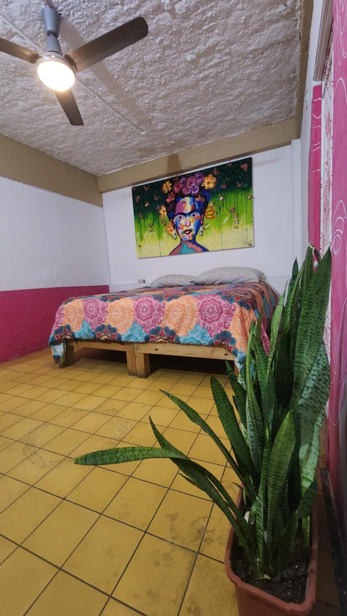 Hostel Vallarta (Adults Only) Пуерто-Вальярта Екстер'єр фото